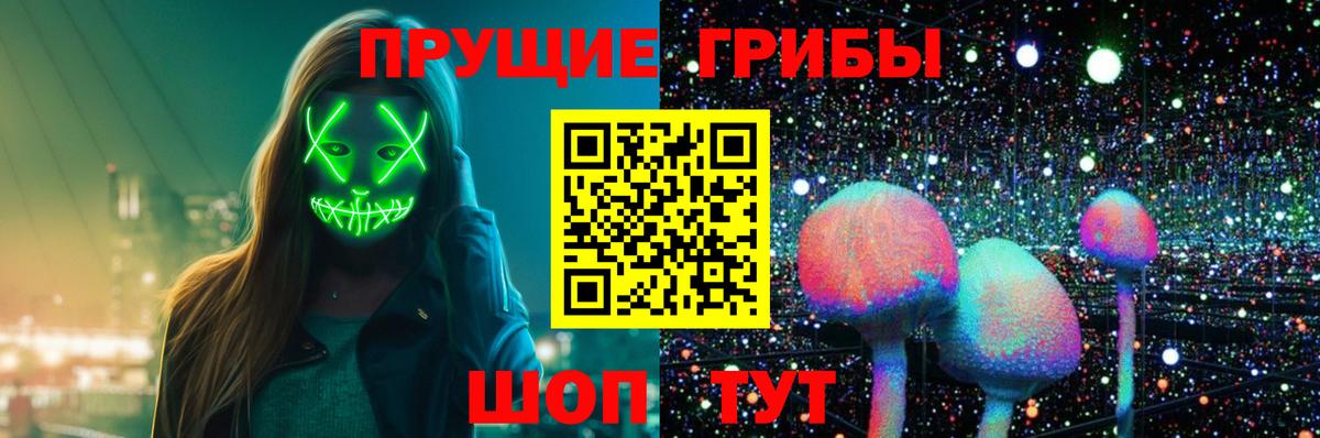 Псилоцибиновые грибы мицелий Ейск